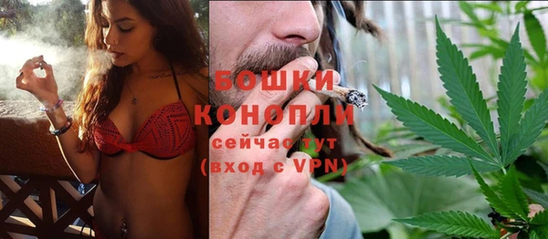индика Кукмор