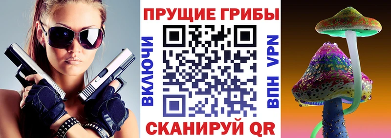 Псилоцибиновые грибы GOLDEN TEACHER  Грозный 